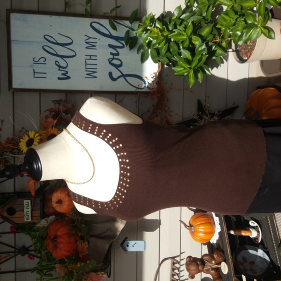 POINTELLE ♡ Vintage Brown Silk Ribbed Gold Rivet Scoop Neck Sleeveless Top S - Picture 7 of 14